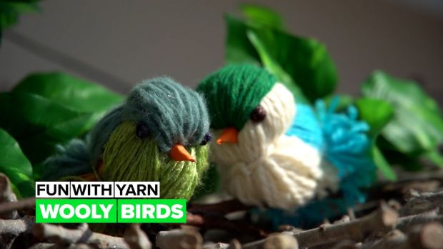 preview image for Play with yarn: Wooly bird